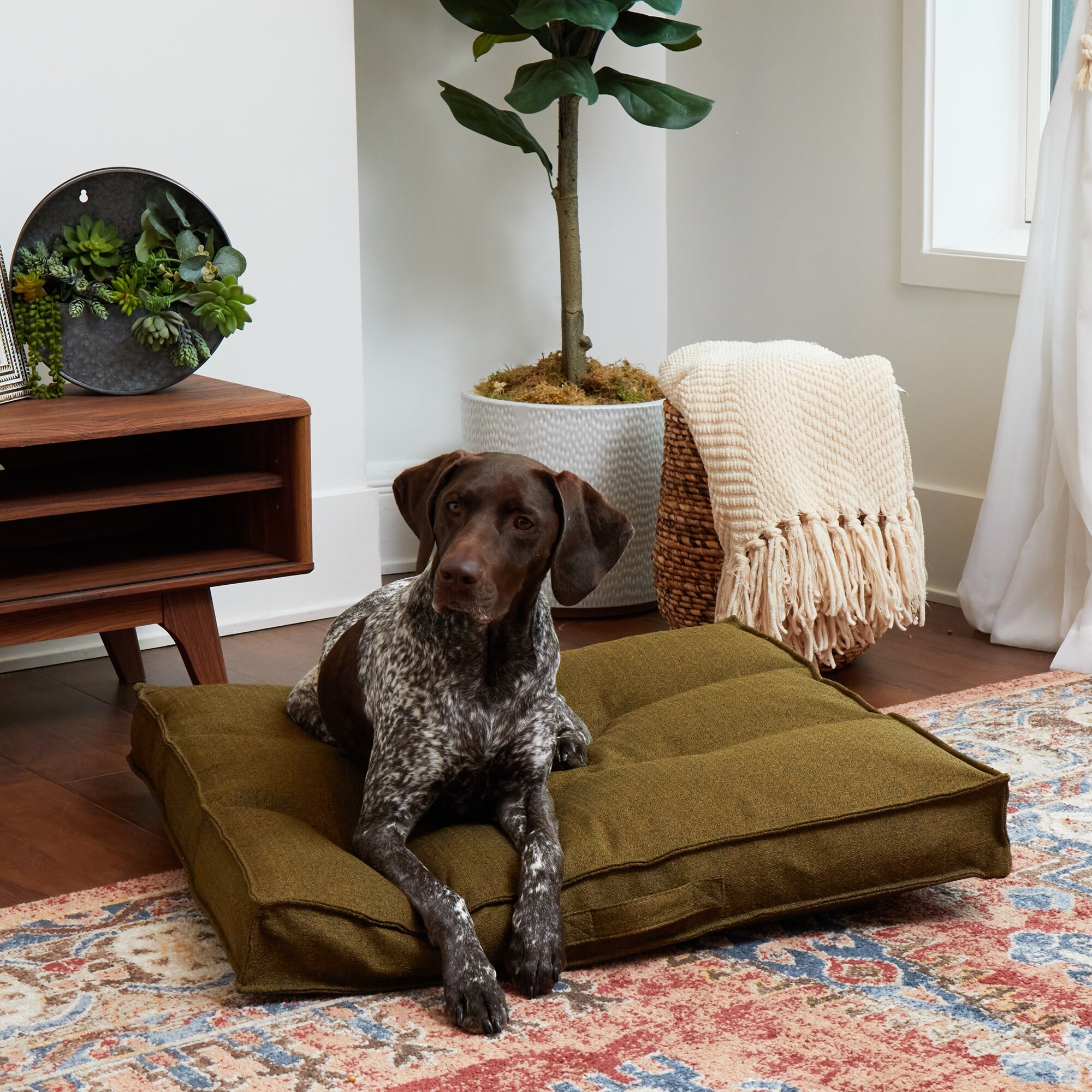 Milo Square Tufted Dog Bed Medium 32 Moss