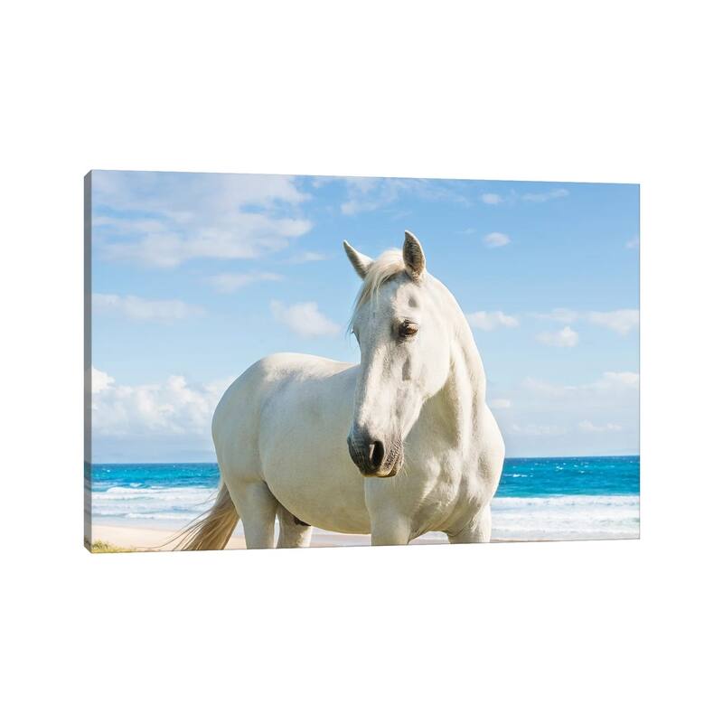 iCanvas "Beach Horse" by Andrew Lever Canvas Print
