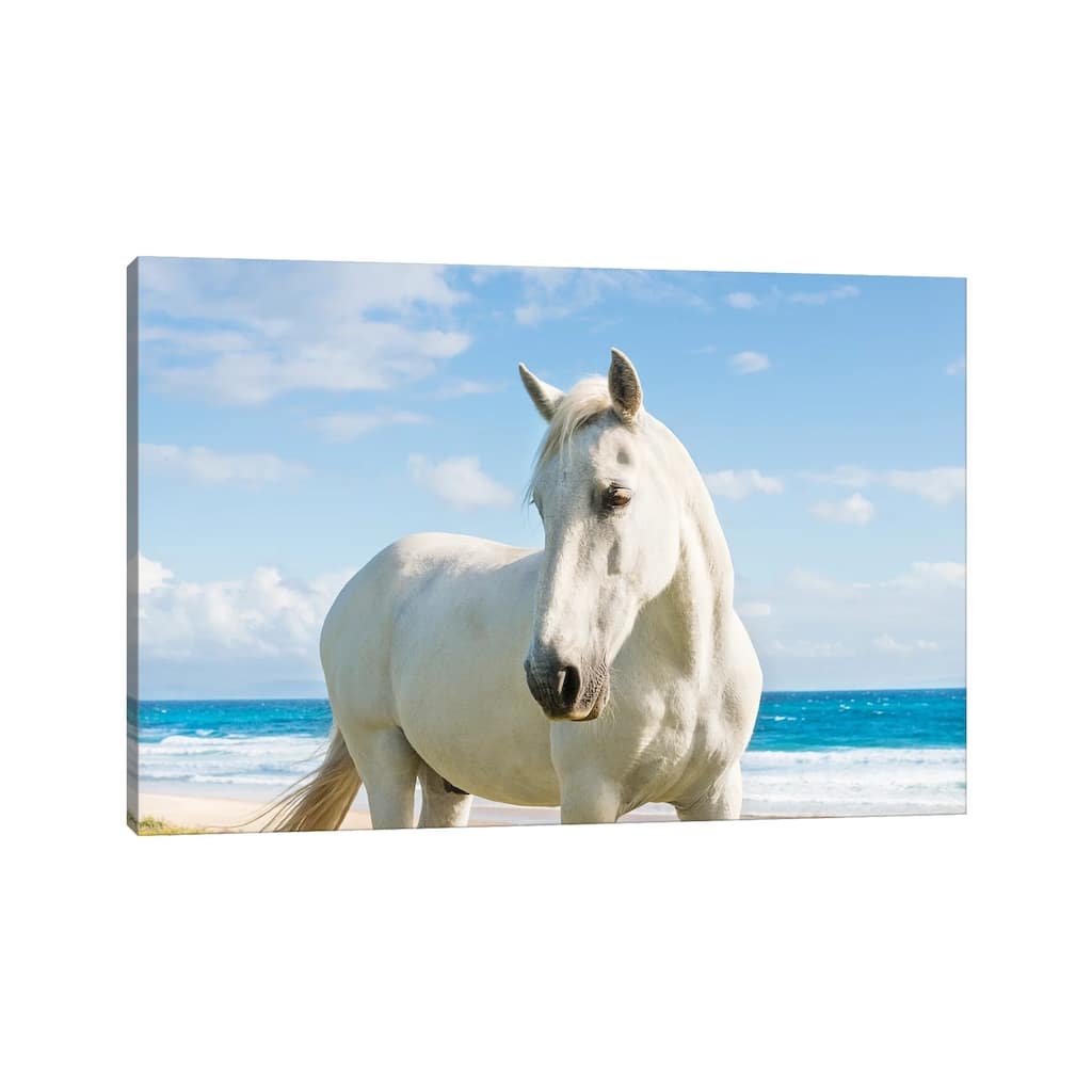iCanvas "Beach Horse" by Andrew Lever Canvas Print