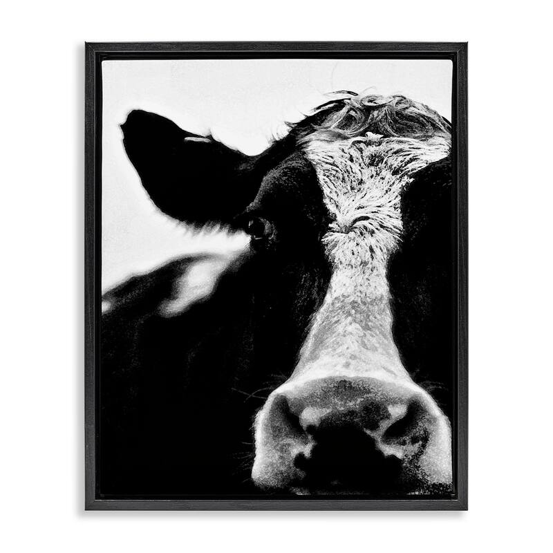 Stupell Cow Black And White Close Up Floater Frame