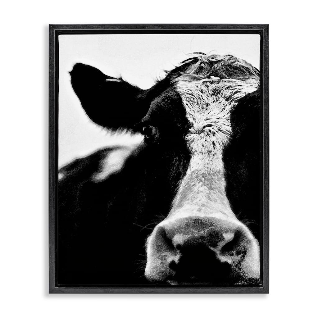Stupell Cow Black And White Close Up Floater Frame