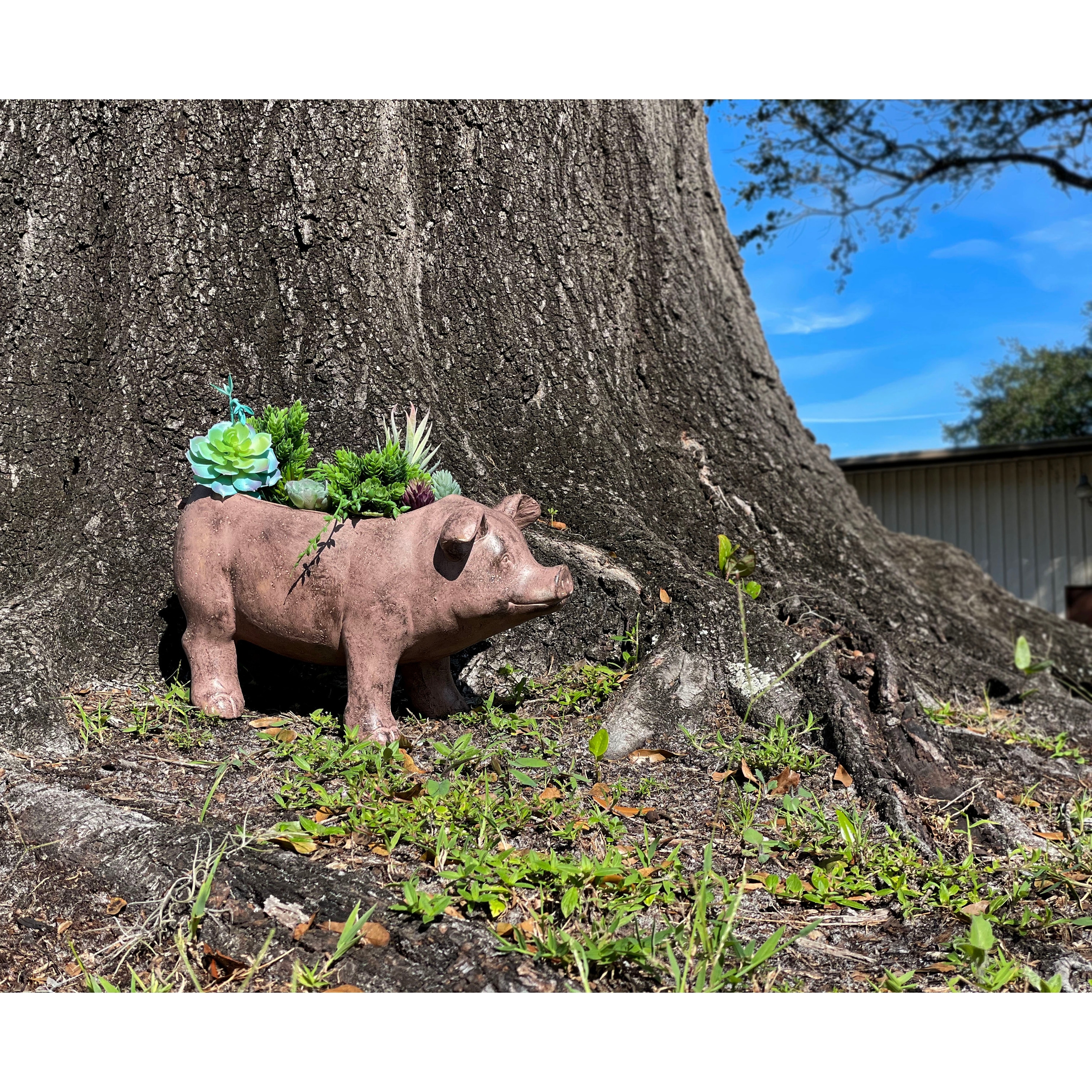 Pig/出品 Zeckos 17 Inch Brown Finish Smiling Pig Resin Planter Plant Pot