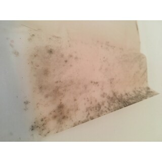 Maytex No Mildew Vinyl Shower Curtain Liner Free