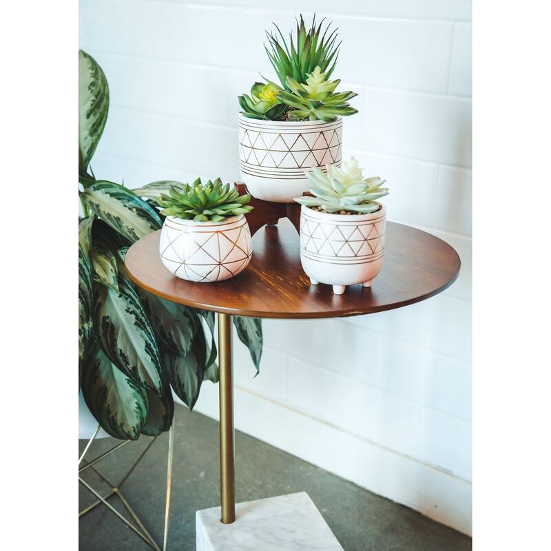 Artificial Plant Succulent IN GOLD HANDPIANT 5" CERAMIC FOOTED STAND - ONE-SIZE