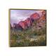 iCanvas "Teddy Bear Cholla And Saguaro, Kofa Nwr, Arizona" by Tim Fitzharris Framed Canvas Print - Gold - 26x26