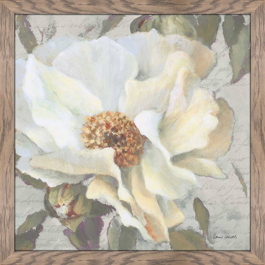 "Blooming Peony Letter II" by Lanie Loreth Print on Acrylic