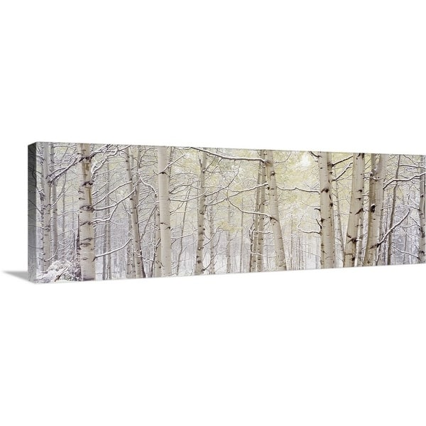 slide 2 of 8, "Autumn Aspens With Snow, CO" Canvas Wall Art