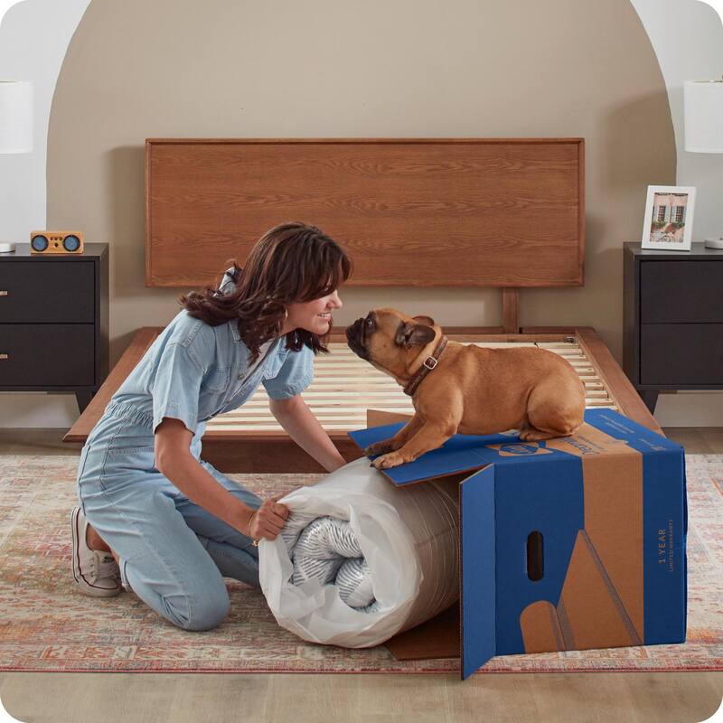 Sealy Dreamlife 8" Foam Mattress-in-a-Box
