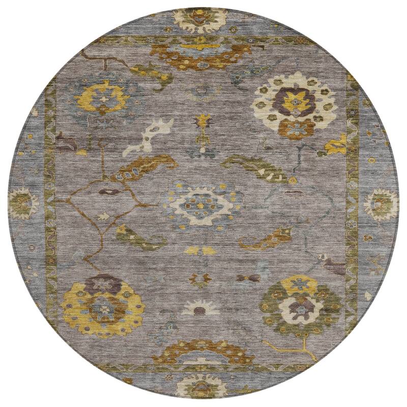Machine Washable Indoor/ Outdoor Traditional Boho Chantille Rug