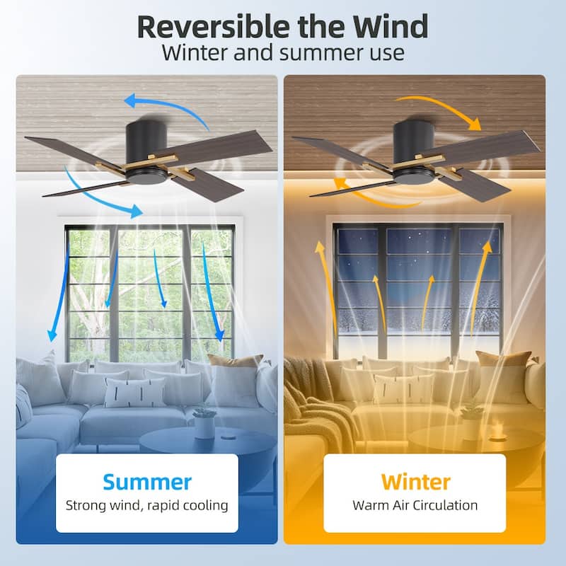 48Inch 4 Two-color Fan Blades Dc Motor Indoor Ceiling Fan With Remote