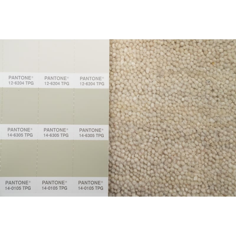 Hand Knotted Oriental 100% Wool Carpet Tribal Animal Pictorial Beige & Ivories Gabbeh Area Rug - 4' 9'' X 3' 0''