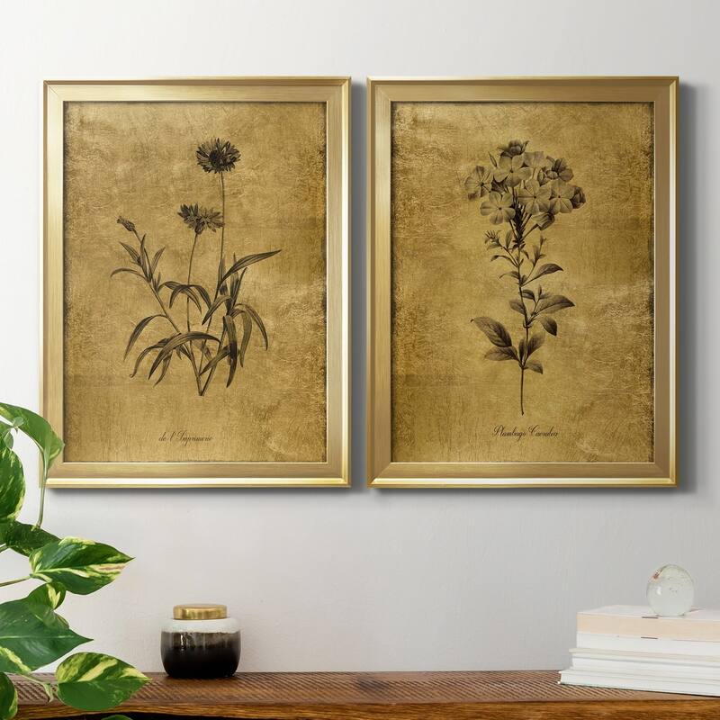 Gold Sketch Botanical I Premium Framed Print - Ready to Hang - Multi-Color