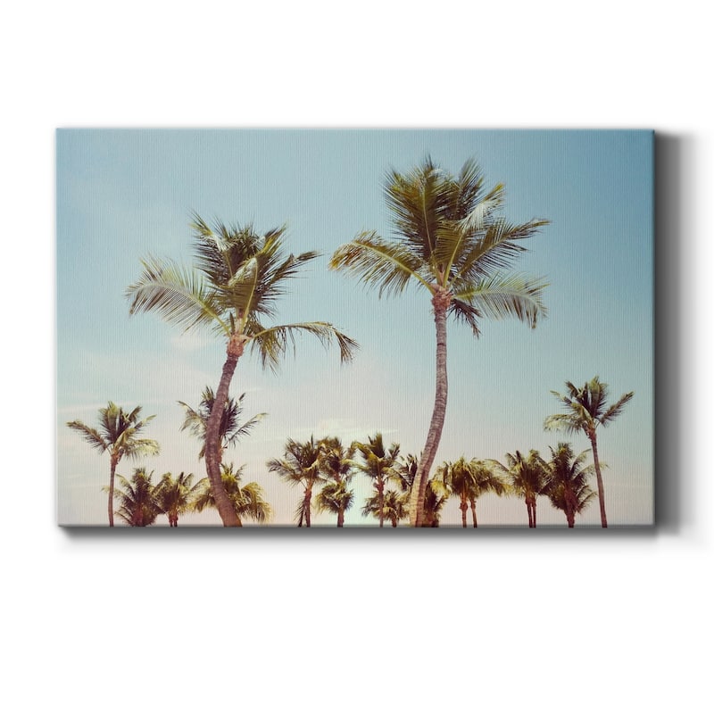 Aruba Palm Premium Gallery Wrapped Canvas - Ready to Hang - 40X60