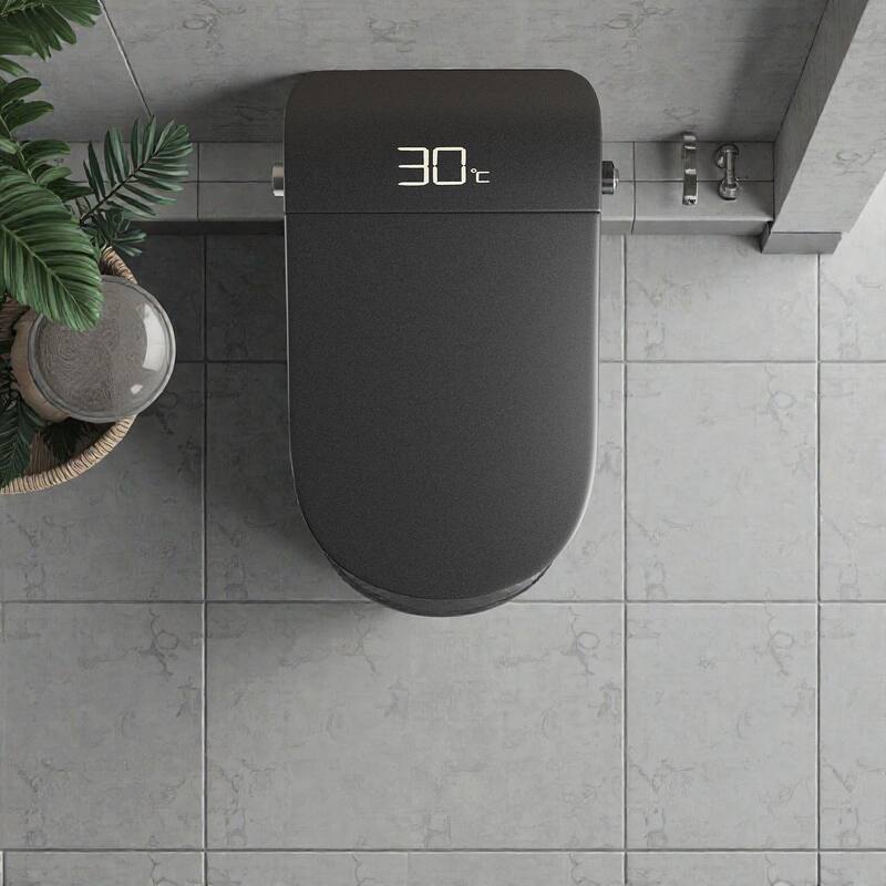 Smart One Piece Toilet with Built In Bidet. Auto Open Close Seat. Heated Seat. Warm Water. Dryer. Remote Control