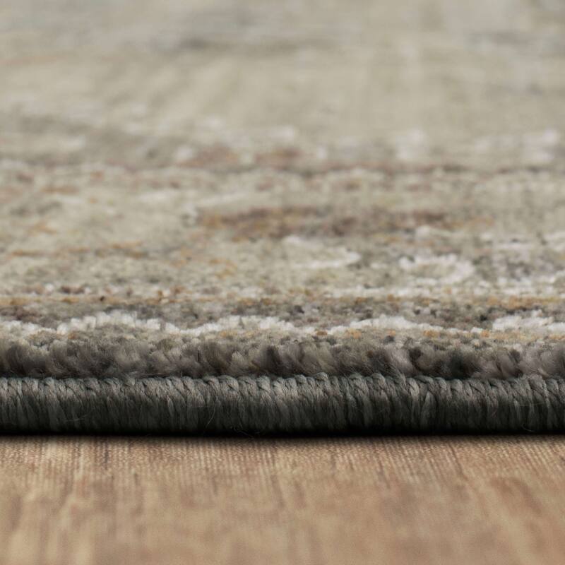 Karastan Gamin Distressed Medallion Area Rug