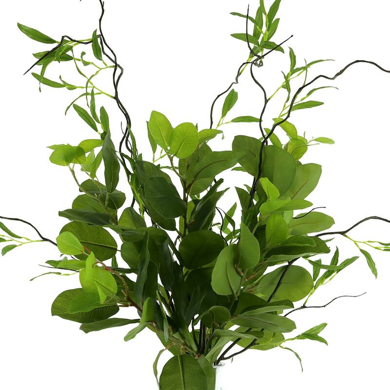 Oriental Fiscus and Willow Branch Arrangement in a Tall Glass Vase - Green