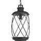 preview thumbnail 3 of 9, Progress Lighting Hollingsworth Single Light 10" Wide Outdoor Pendant