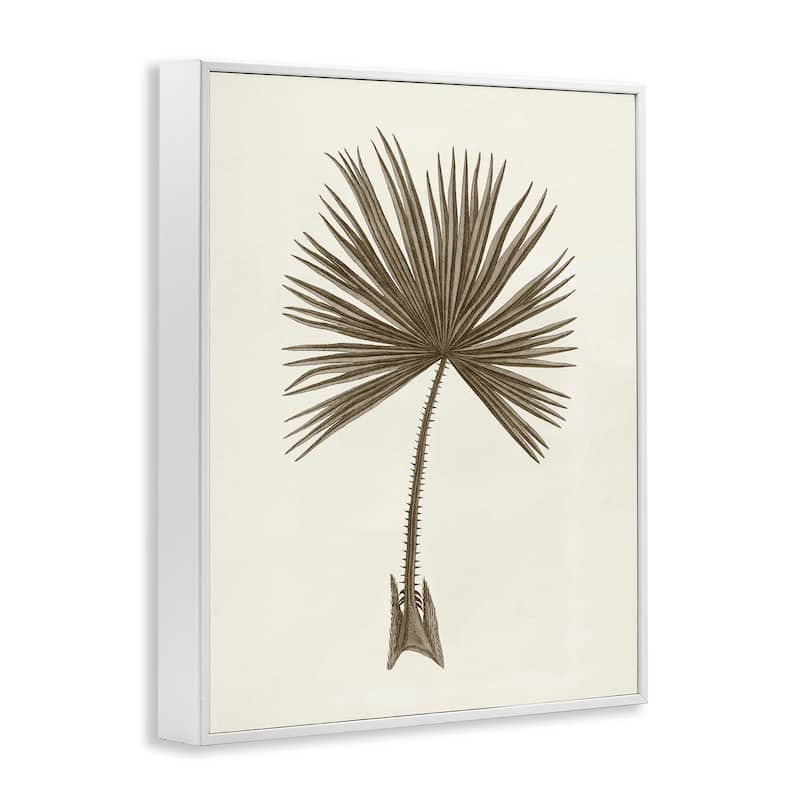 Stupell Vintage Study of Palm Leaf Framed Giclee Art Design By Phillipa Katz