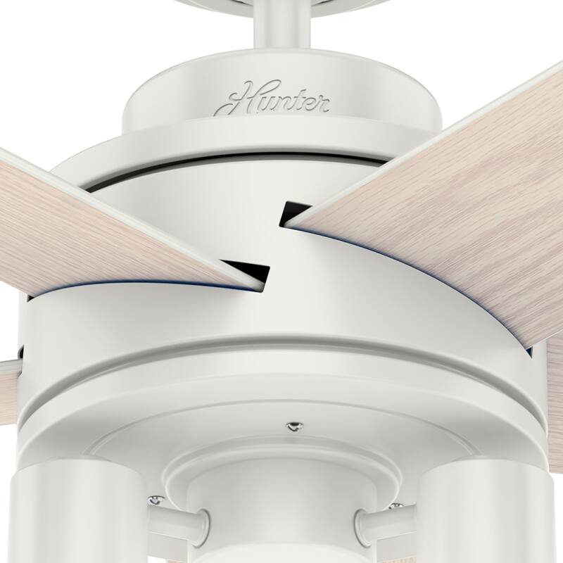 Hunter 44" Hardwick Ceiling Fan with LED Light Kit and Handheld Remote - Modern Farmhouse, Transitional