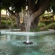 preview thumbnail 1 of 10, Alpine Corporation 550-GPH Pump 48-LED Light Floating Spray Fountain, Black