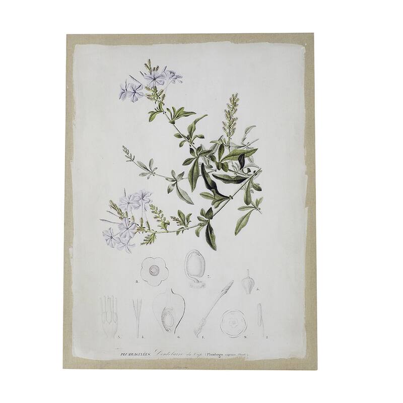 24 x 32 Set of 2 Framed Wall Art Prints, Floral, Modern White and Black