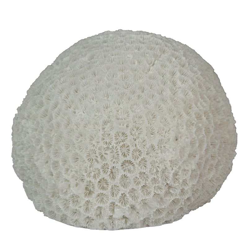 6 Inch Resin Led Brain Coral Accent Lamp Table Light - 3.25 X 6 X 5 inches