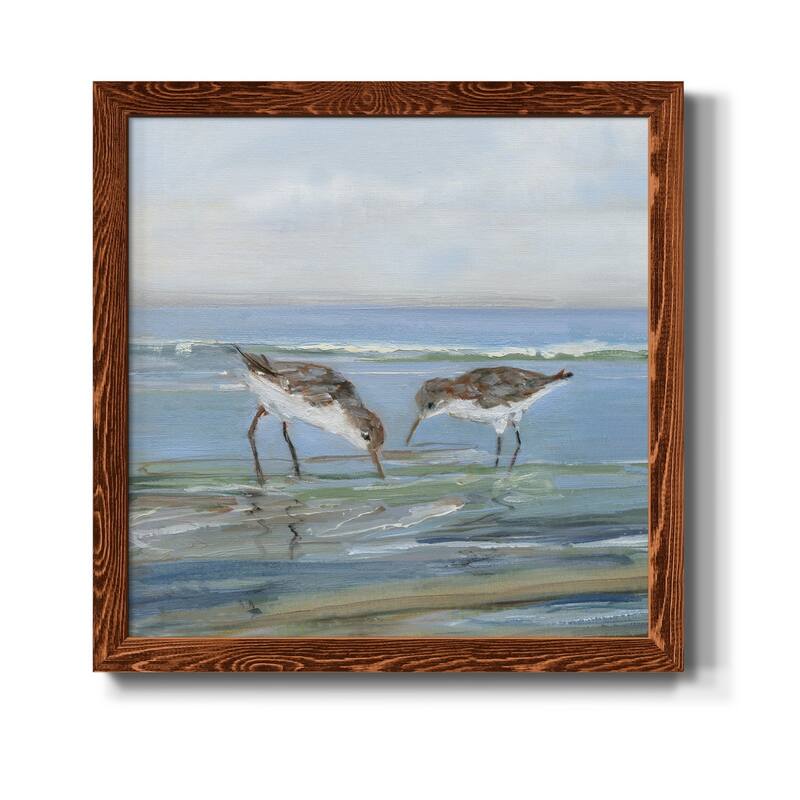 Seabird Beach II-Premium Framed Canvas - Ready to Hang