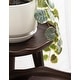 preview thumbnail 10 of 13, Kate and Laurel Alessia Plant Stand Set