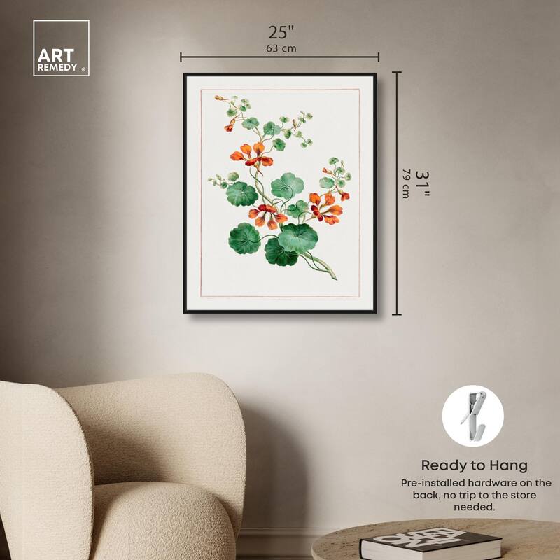 Nasturtium (1788) Canvas by Art Remedy