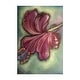 Hibiscus Drawing Floral Botanical Flower Modern Art Print Poster - Bed 