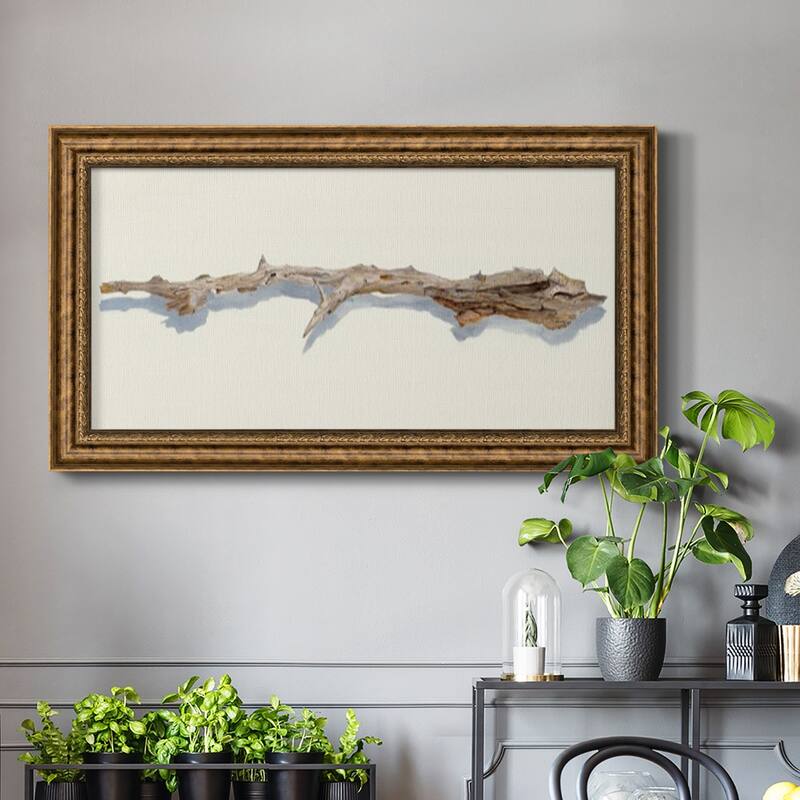 Driftwood Study I Premium Framed Canvas- Ready to Hang