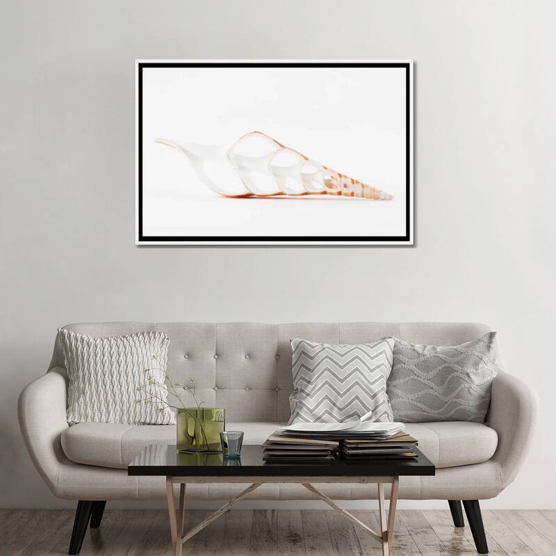 iCanvas "Beautiful Cut Tibia Shell II" by Philippe Hugonnard Framed