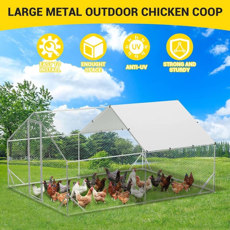 9.8 x 6.5 x 6.5FtGalvanized Steel Chicken PenWalk-in Poultry Cage