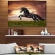 preview thumbnail 9 of 14, Designart 'Black Friesian Horse Gallop' Animal Photography Metal Wall Art