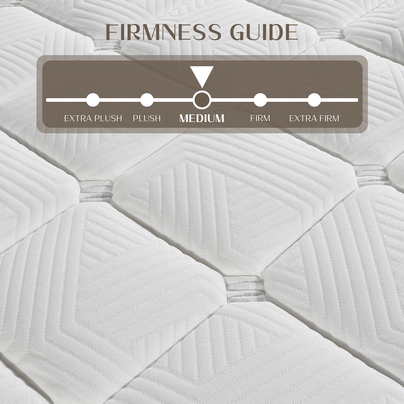 12" Medium Pillow Top Edge Support Spring Pocket Mattress