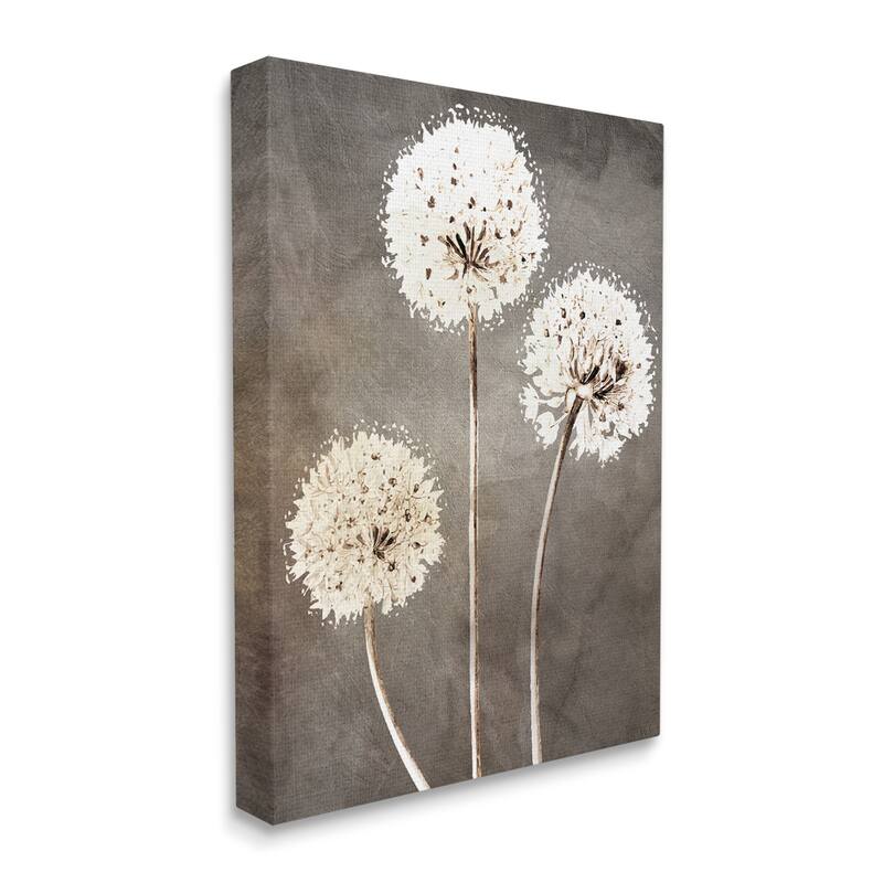 Stupell Fluffy Dandelion Plants Wildflower Botanical Blooms Canvas Wall Art, Design by Kim Allen