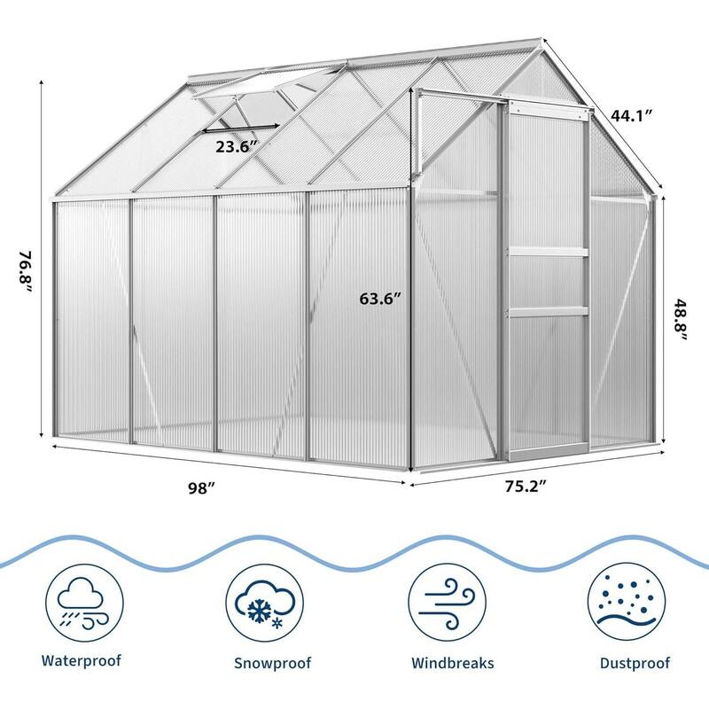 6 x 8 FT Winter Polycarbonate Greenhouse for Outdoors Gardening, Silver