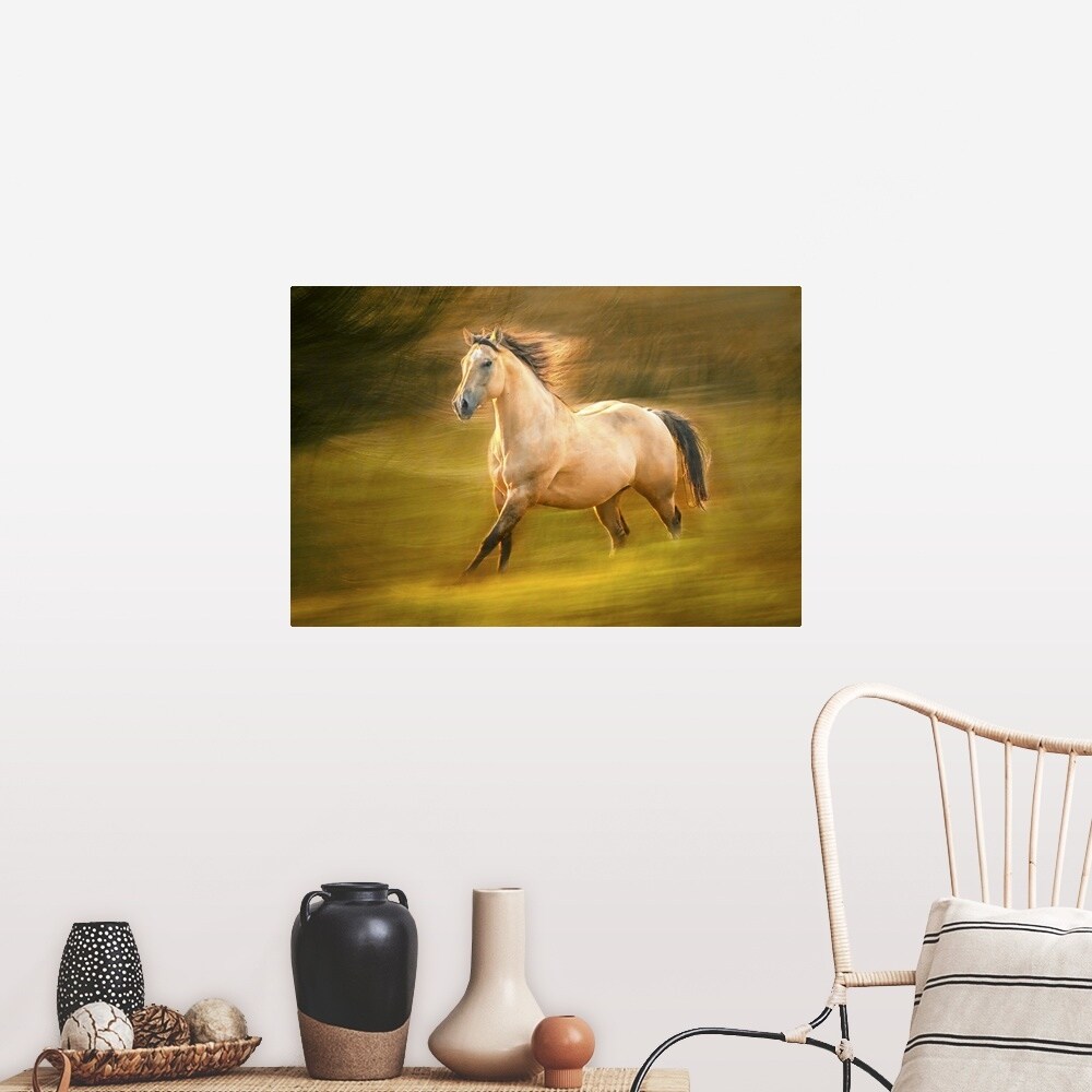 Running Horse Poster Print Overstock