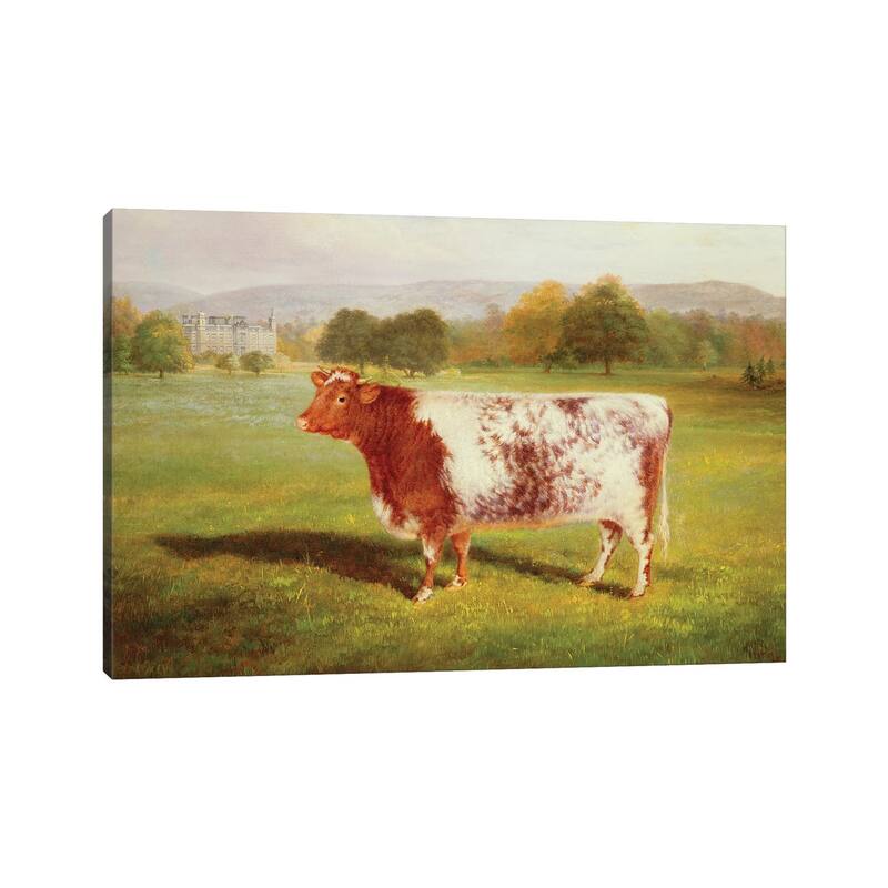 iCanvas "Portrait of a Shorthorn, 19th century" by William Joseph Shayer Canvas Print