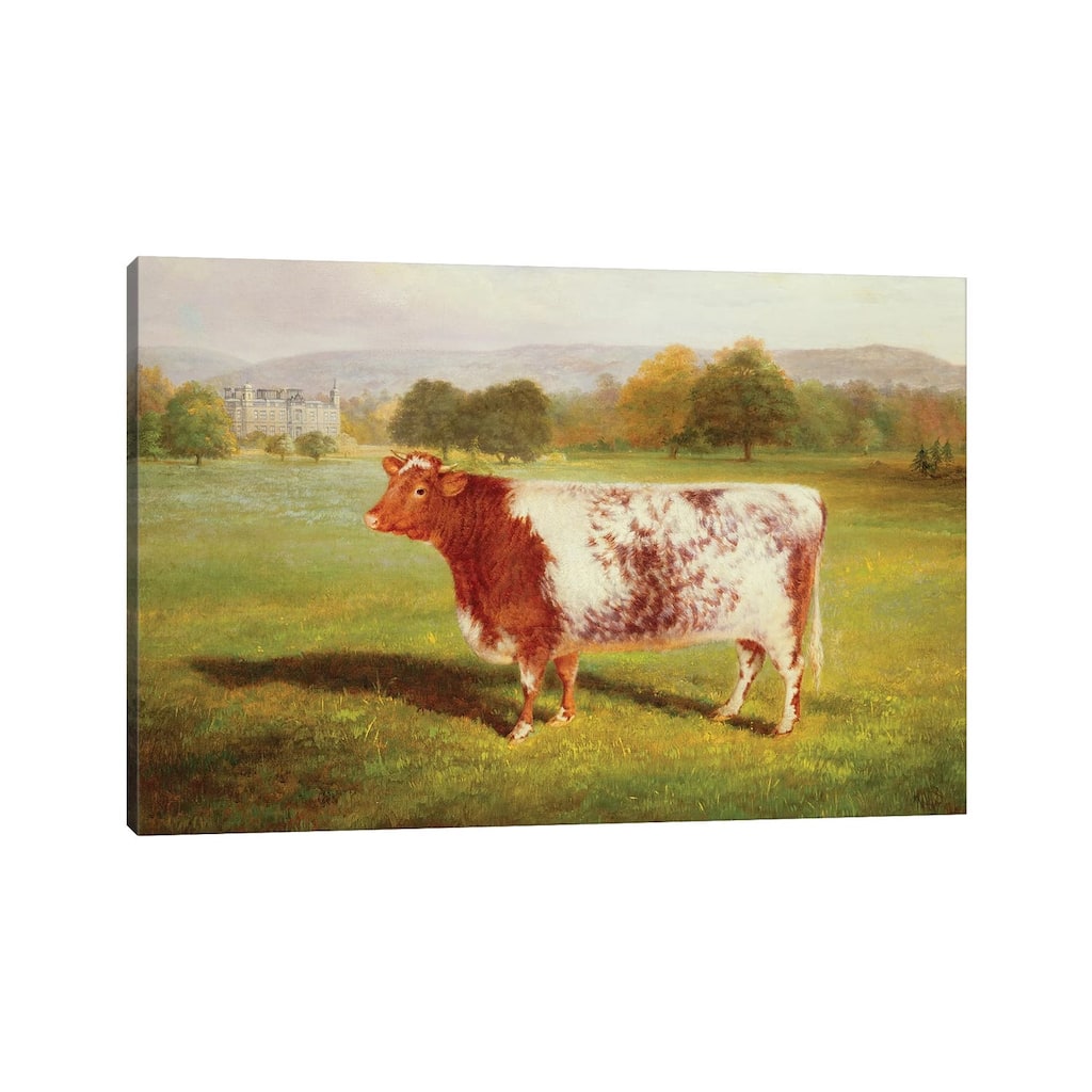 iCanvas "Portrait of a Shorthorn, 19th century" by William Joseph Shayer Canvas Print