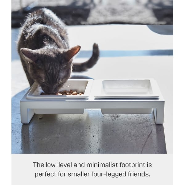 Yamazaki Home Pet Food Bowls - Two Styles, Steel and Ceramic, Short, 1.25  cups, 300 milliliters per bowl - Bed Bath & Beyond - 39463764