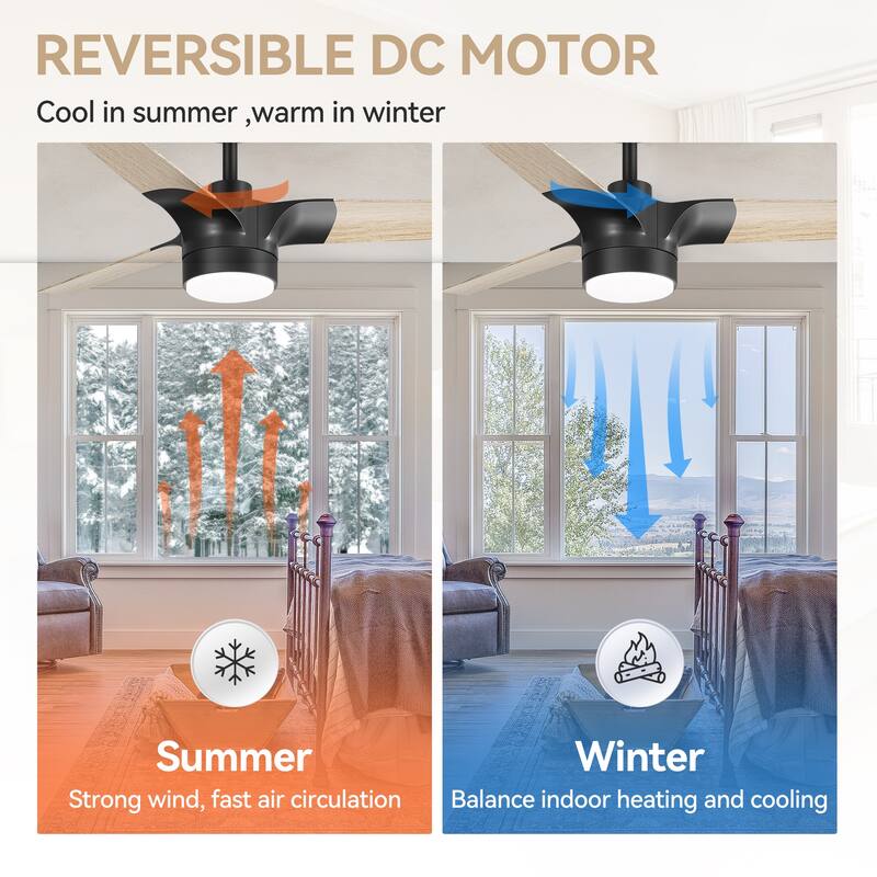 52" 3-Blade Modern LED Ceiling Fan with Light and Remote