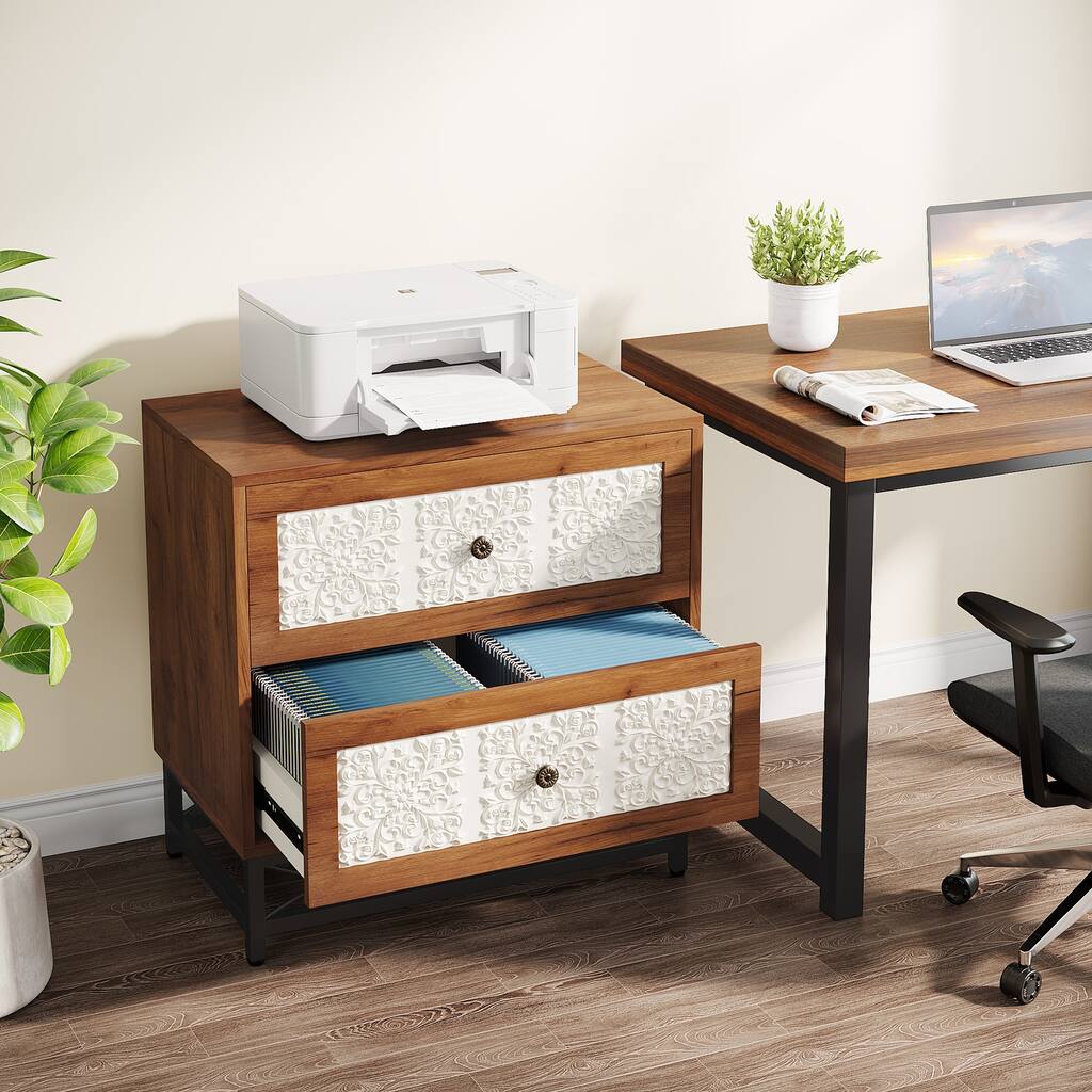 Lateral File Cabinet with 2 Drawers, Wood Filing Cabinet with Solid Metal Legs