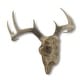 10 Point Buck Deer Skull Bust Wall Hanging - On Sale - Bed Bath ...
