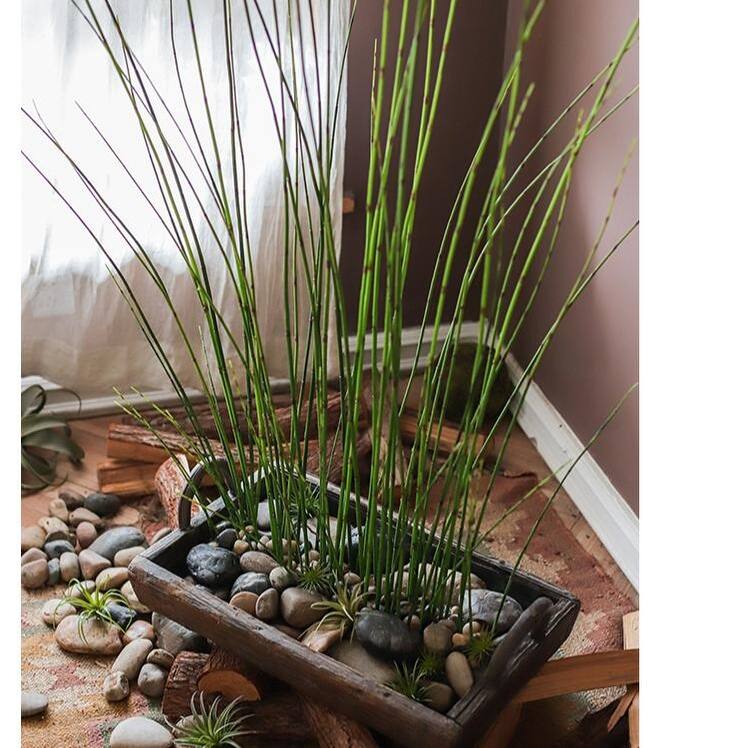 RusticReach Artificial Rough Horsetail Plant Long Stem 54" Tall