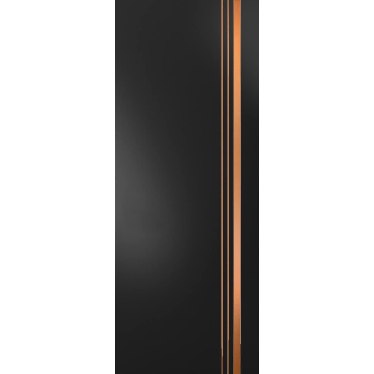 SartoDoors Planum 1010 | Bedroom Door Barn Door | Solid Wood | 18x80, Matte Black Bathroom Door Pantry Door Closet Door