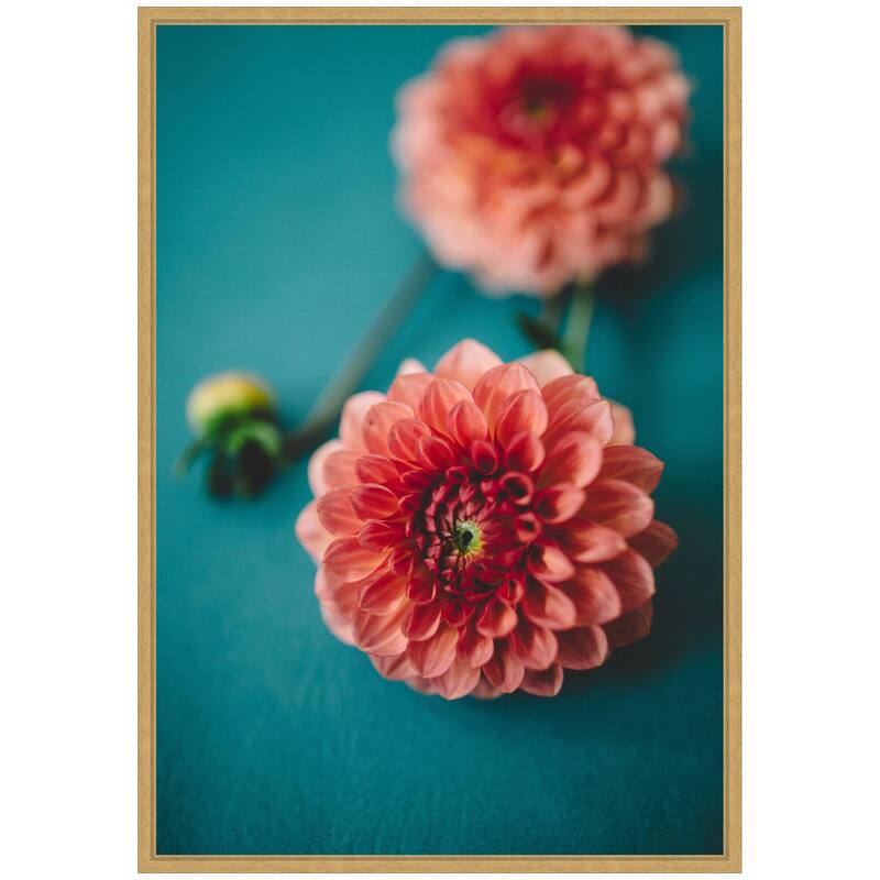 Kate and Laurel Sylvie Vibrant Pink Dahlia Floral Framed Canvas by Patricia Hasz of Patricia Rae Photography