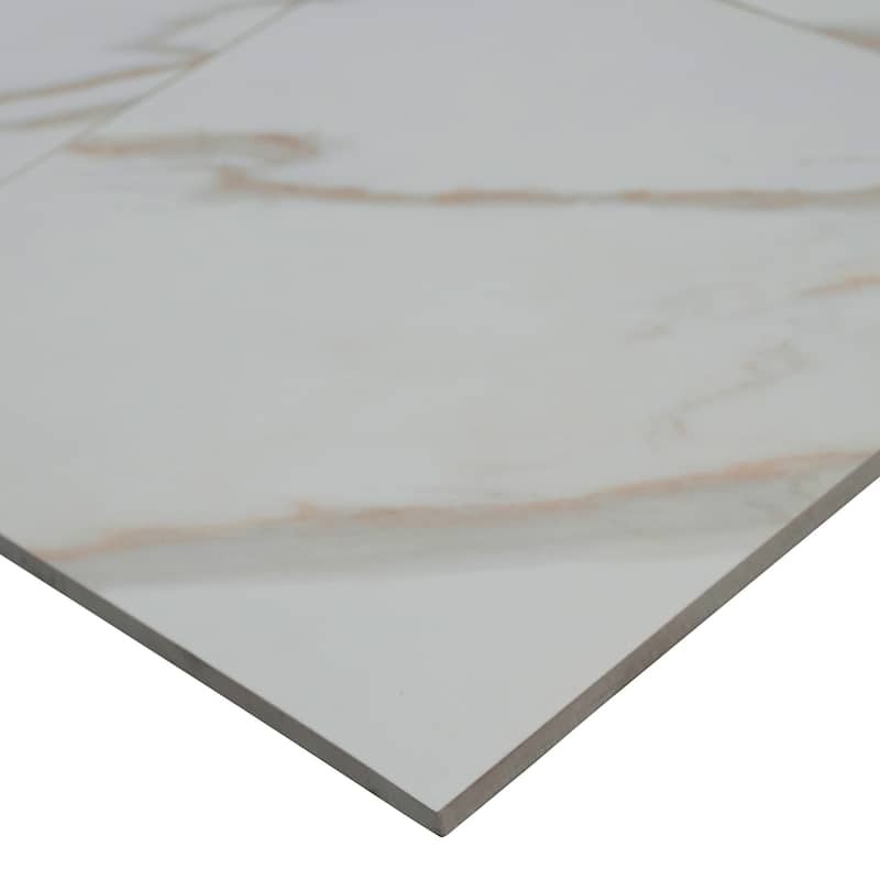 Ackland AKNPTAST12X24P-CA Astoria - 12" x 24" Porcelain Solid Floor