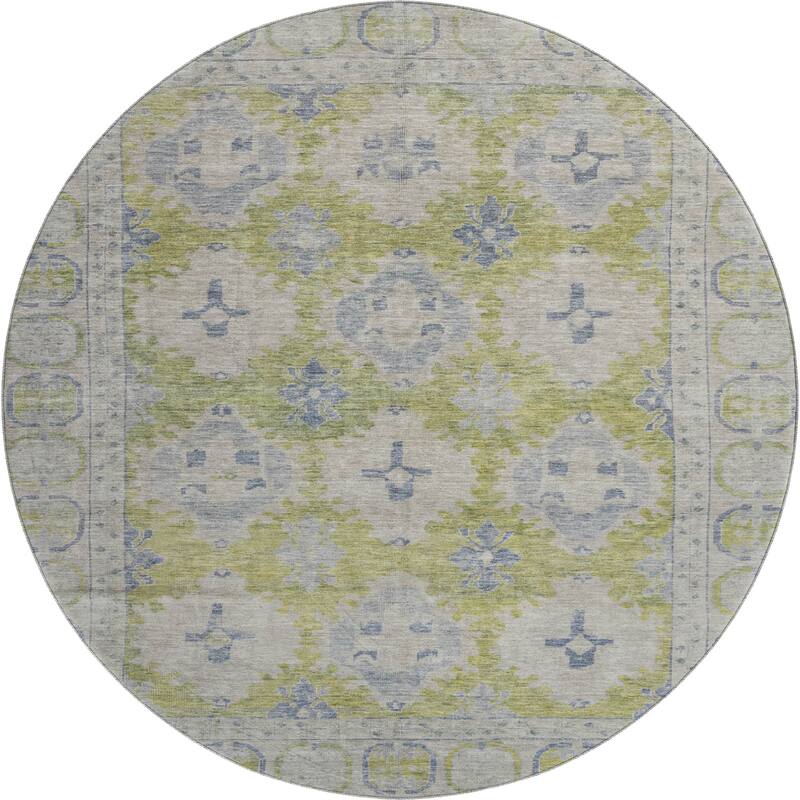 Premium Washable Super Soft Vintage Traditional Mayfield Rug