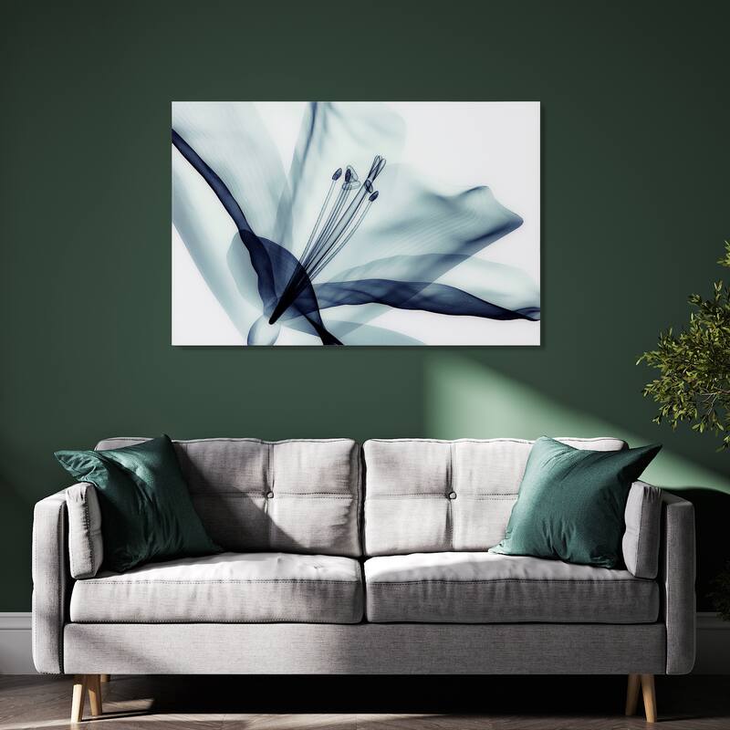 Amaryllis Flower Wall Art Printed on Free Floating Tempered Glass